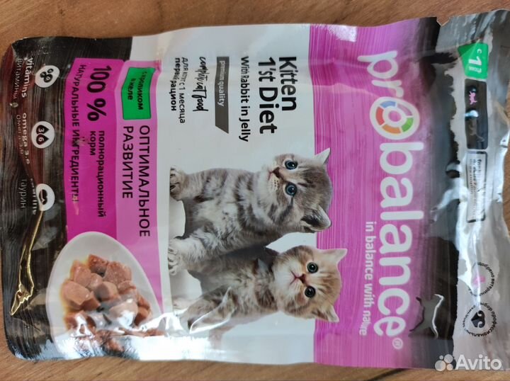 Влажный корм для котят