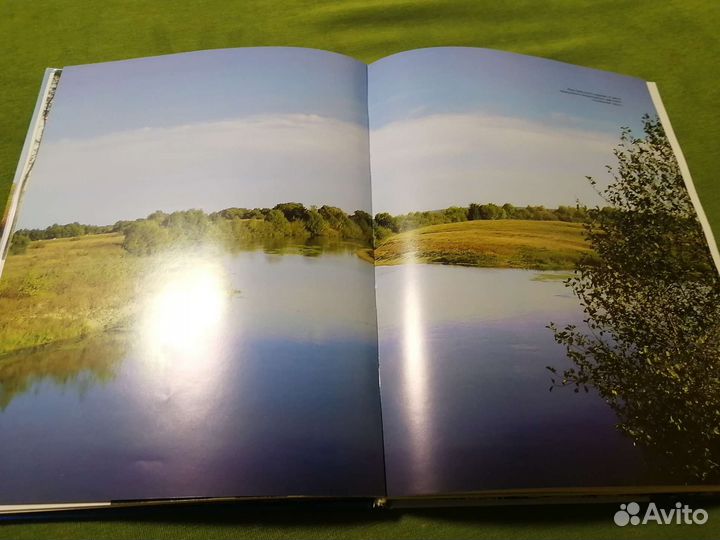 Книга путешествие в соловьиную страну