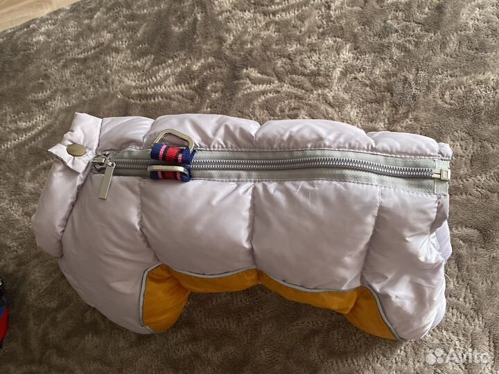 Куртки для собак мелких пород