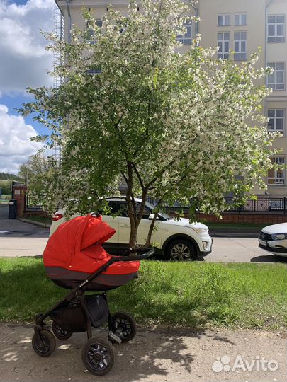 Коляска 2 в 1 adamex jogger