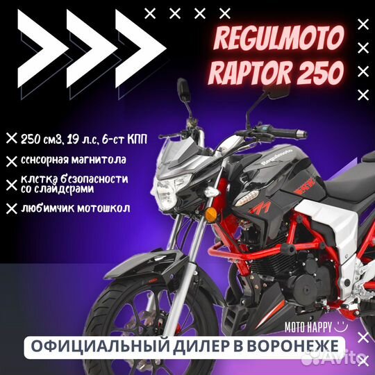 Regulmoto Raptor 250 new (в наличии)