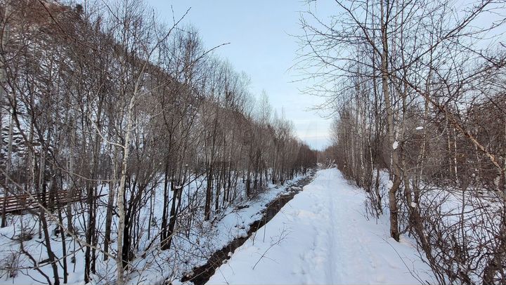 Участок 10 сот. (ИЖС)