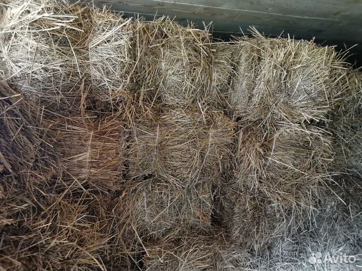 Сено в тюках
