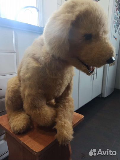 Интерактивная Собака робот