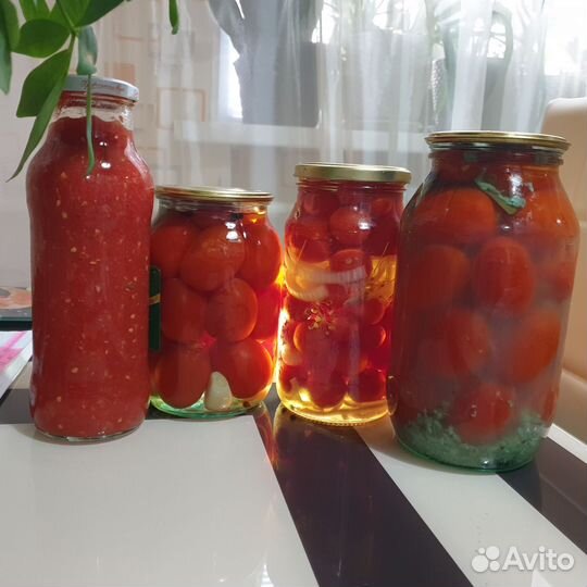 Соленья домашние