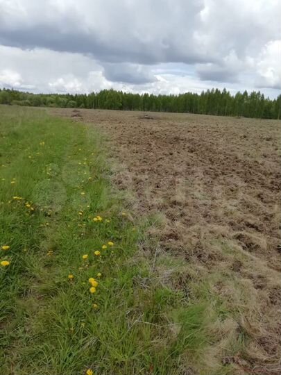 Участок 252 га (СНТ, ДНП)