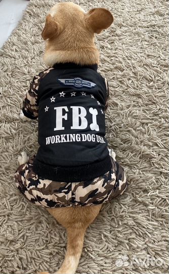 Комбинезон для маленькой собаки демисезонный