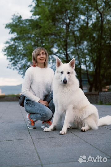 Фотосессия с Белой Швейцарской Овчаркой
