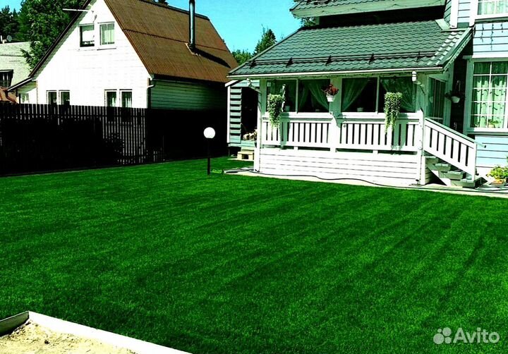 Рулонный газон