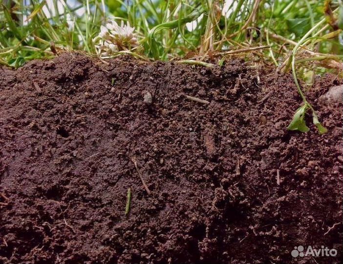 Грунт растительный