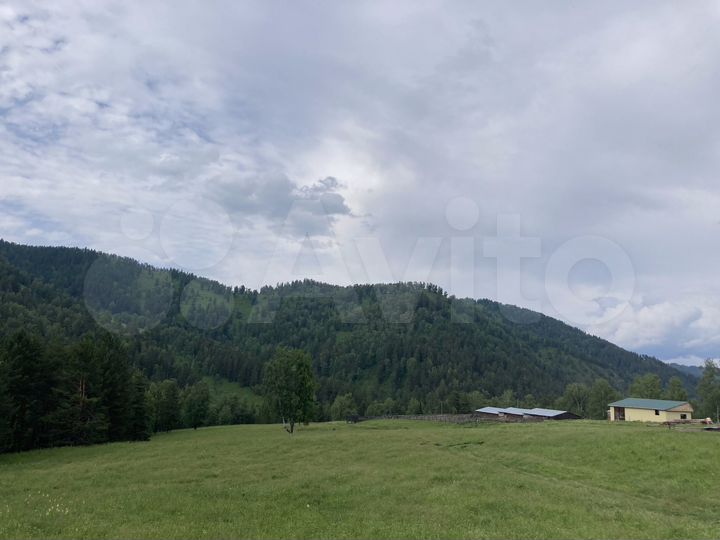 Участок 13,09 га (СНТ, ДНП)