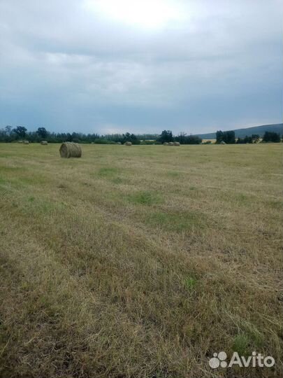 Солома в рулонах