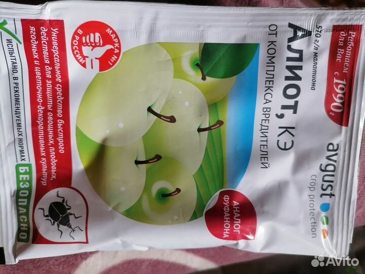 Растения для сада