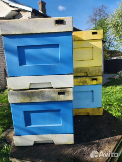 Улей для пчел бу