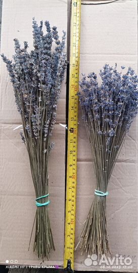 Лавандин (гибрид лаванды), для флористики