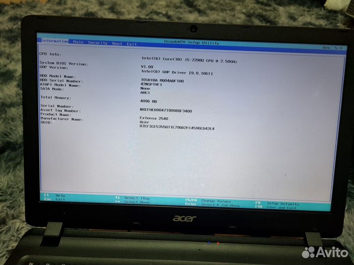 Acer extensa 2540