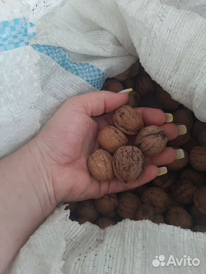 Орех грецкий