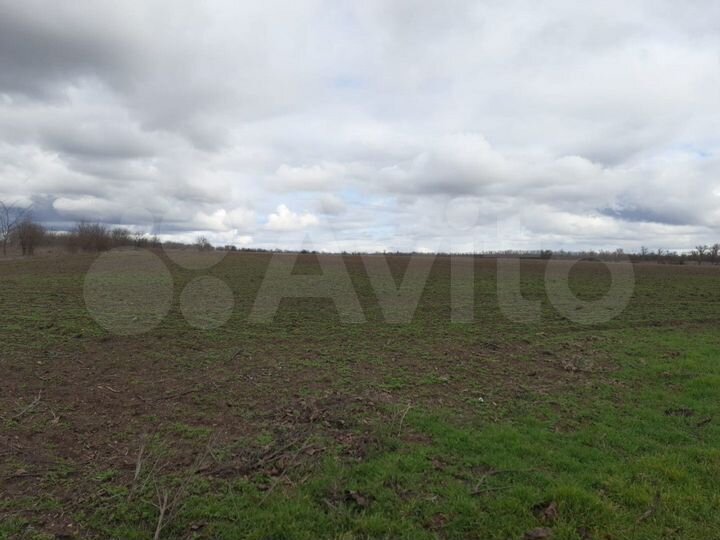 Участок 38 га (промназначения)