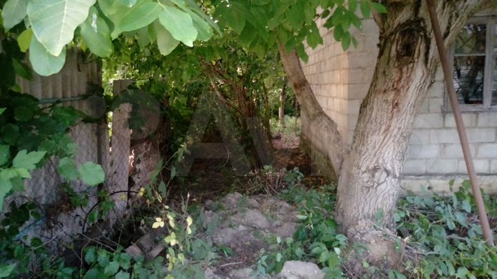 Участок 6 сот. (ИЖС)