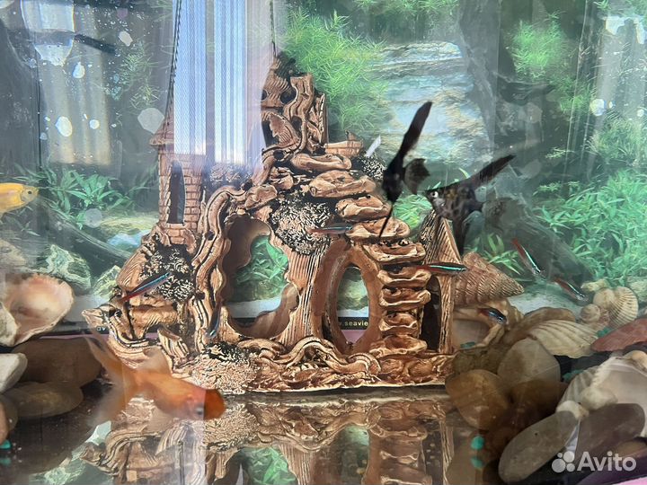 Аквариум для рыб