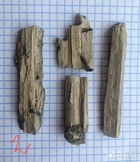 Набор фрагментов окаменелого дерева