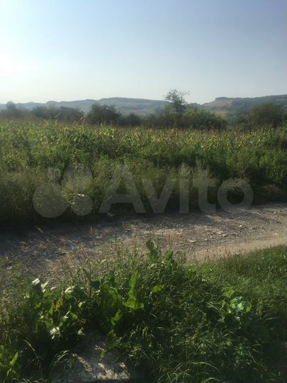 Участок 40 сот. (ИЖС)