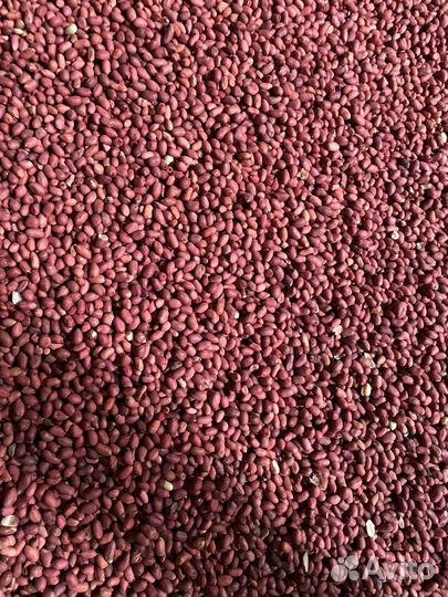 Арахис оптом