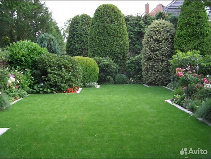 Рулонный газон доставка укладка Элитный