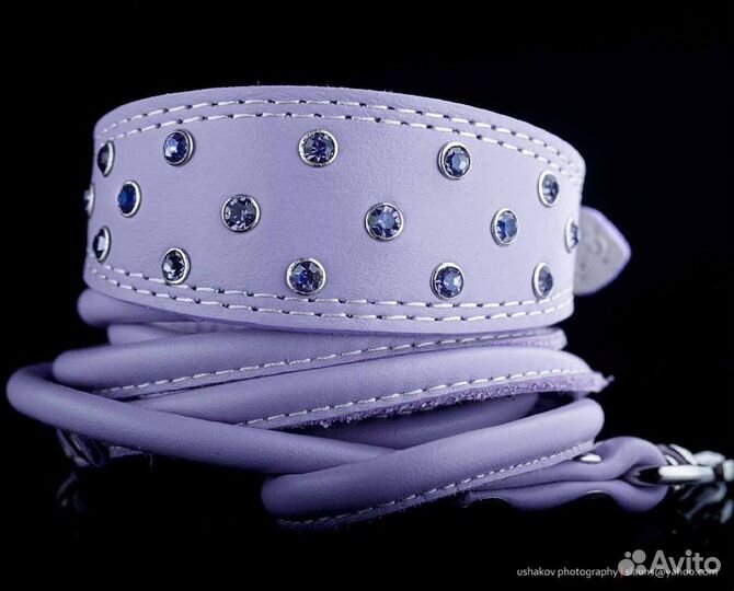 Ошейник для маленьких собак