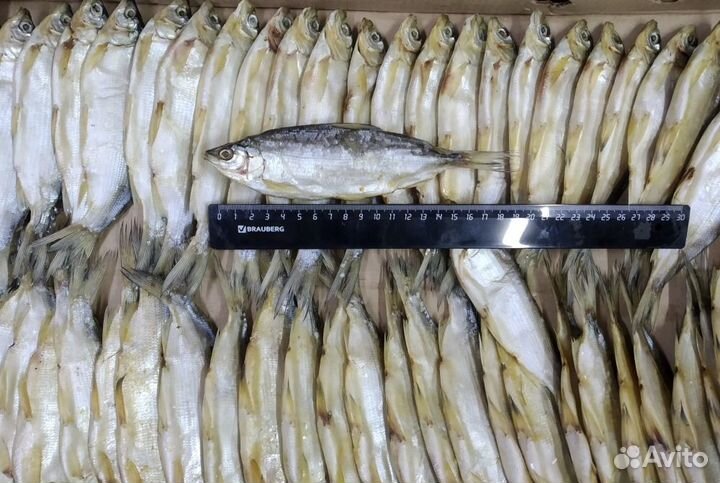 Вяленая рыба