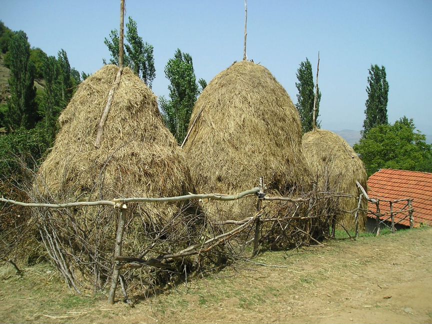 Сено россыпью