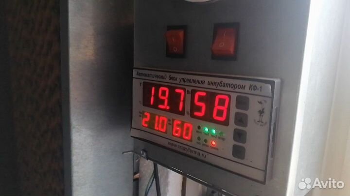 Утепленный курятник/перепелятник на 400 голов