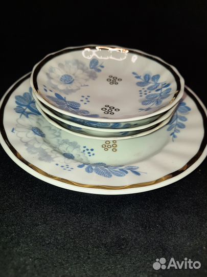 Тарелка, розетки вербилки СССР