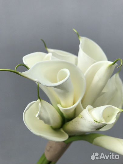 Каллы/Цветы