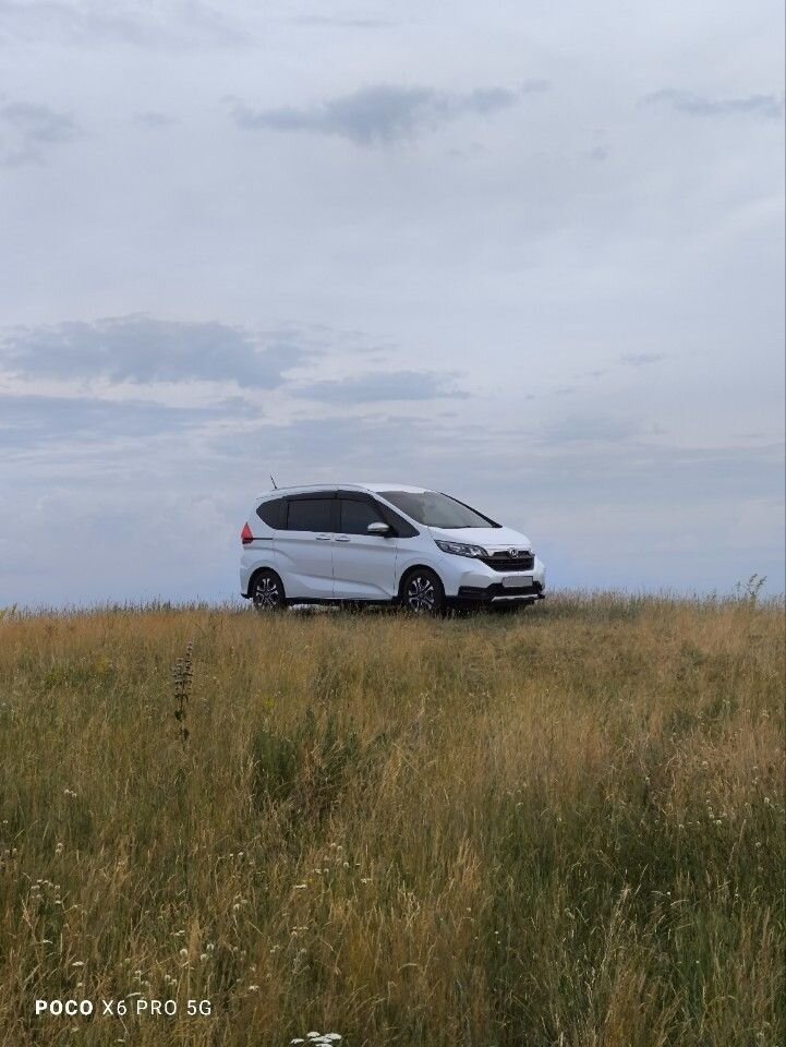 Honda Freed+: фото из отзыва