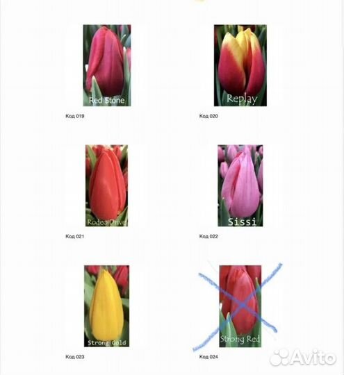 Тюльпаны к 8 марта оптом и в розницу