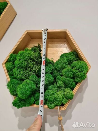 Полка сота мох стабилизированный