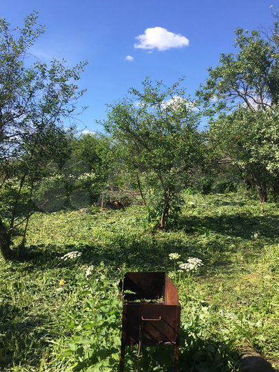 Дом 60 м² на участке 20 сот.