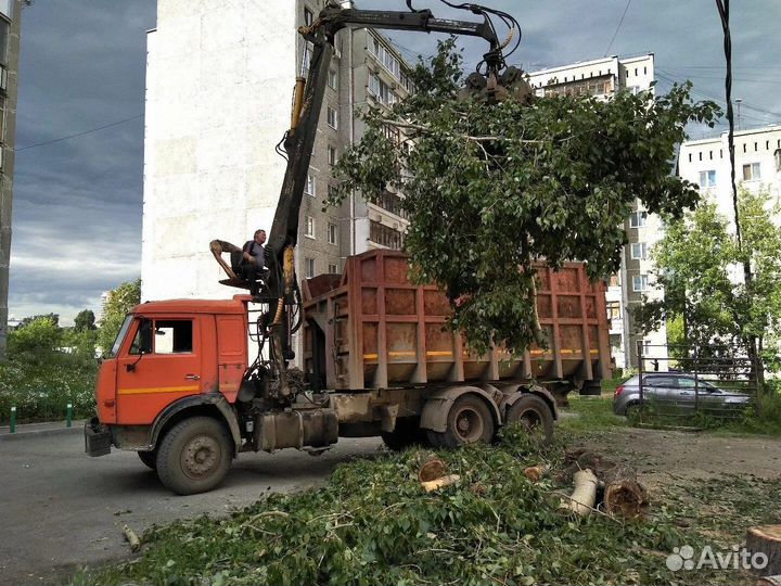 Расчистка участка от деревьев и кустарников