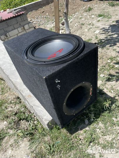 Басовик алпайн