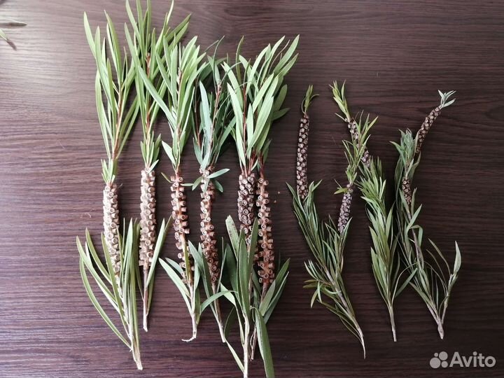 Набор для флориста