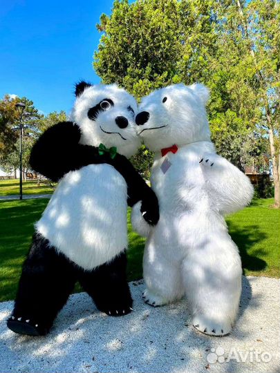 Белый мишка Темрюк
