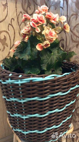 Кашпо для цветов