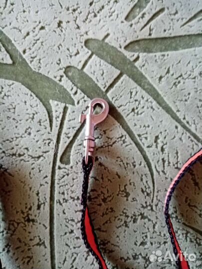 Поводок и шлейка для кошки