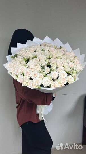 21,31,51, 101 Кустовая Роза, 25, 31,51,101 Роза