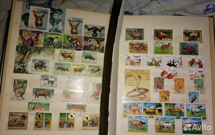 Почтовые марки 