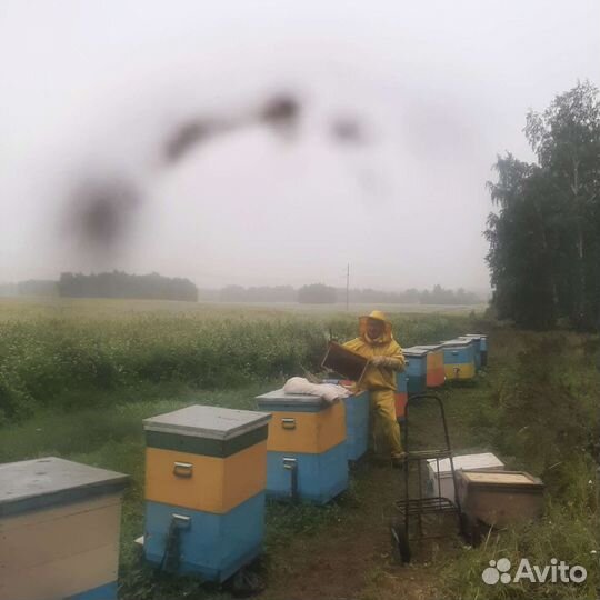 Доставка продуктов