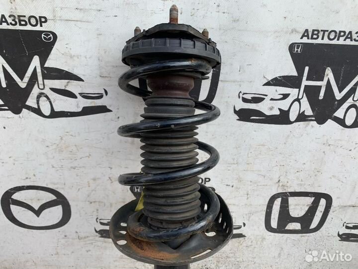 Амортизатор передний правый Honda Civic FN 2 (Type