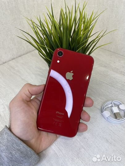 iPhone Xr, 128 ГБ