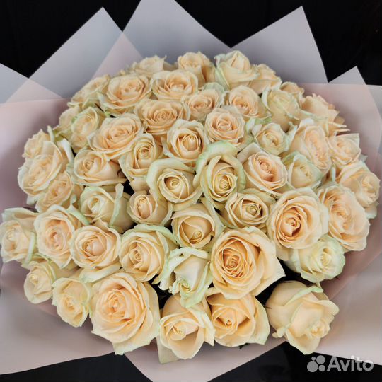 Розы доставка букет роз, розы опт 51 роза 101 роза